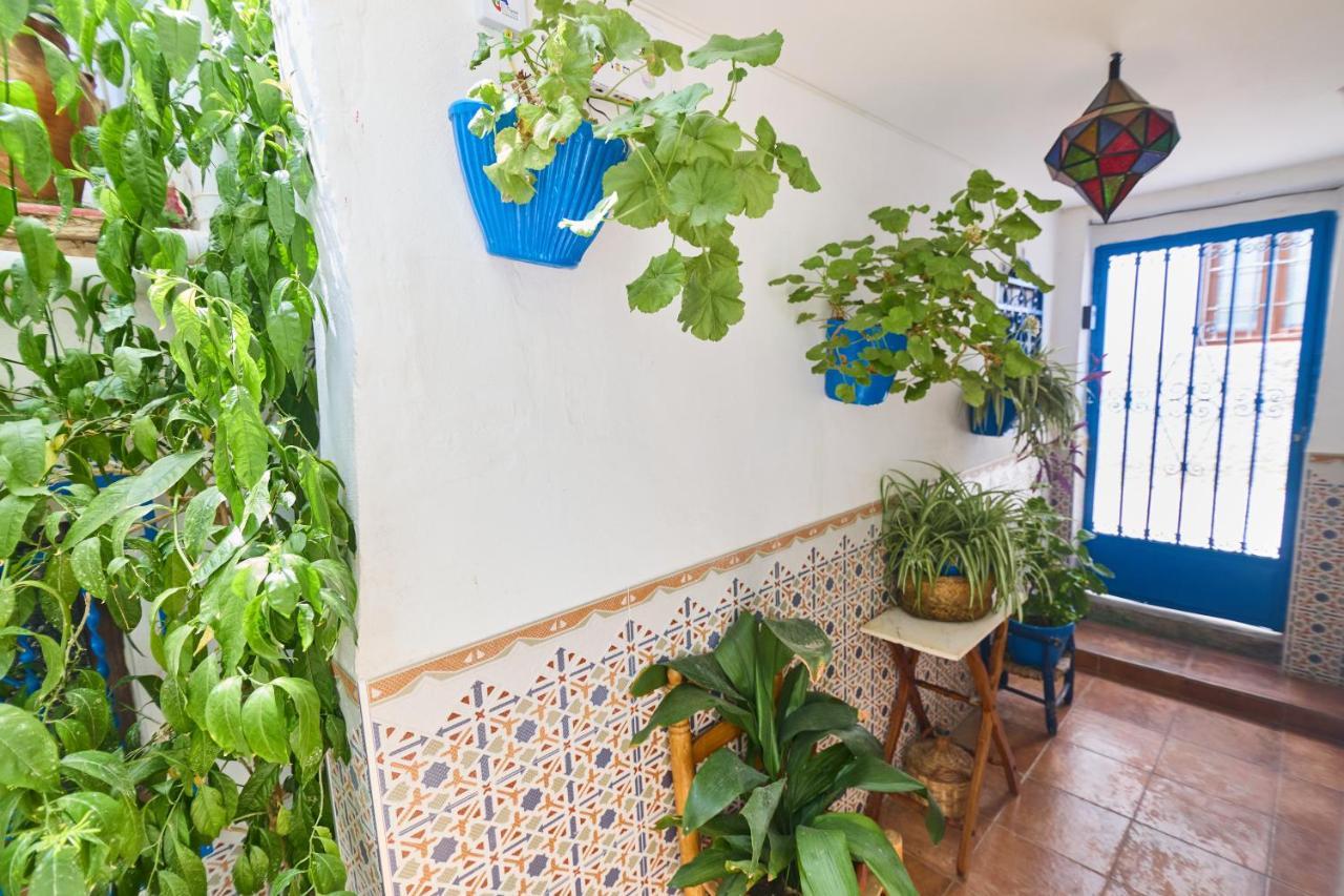 Casa El "Tablao De Las Almendras" Granada Ngoại thất bức ảnh