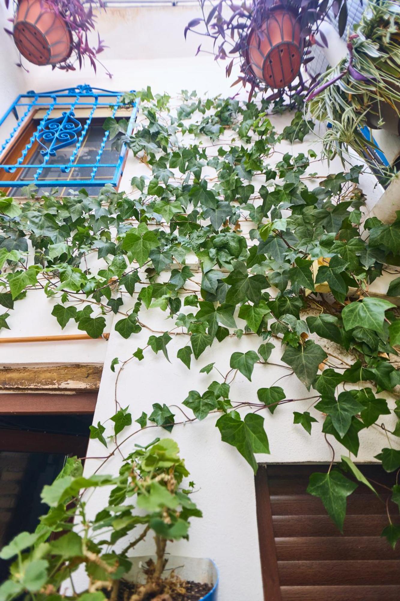 Casa El "Tablao De Las Almendras" Granada Ngoại thất bức ảnh