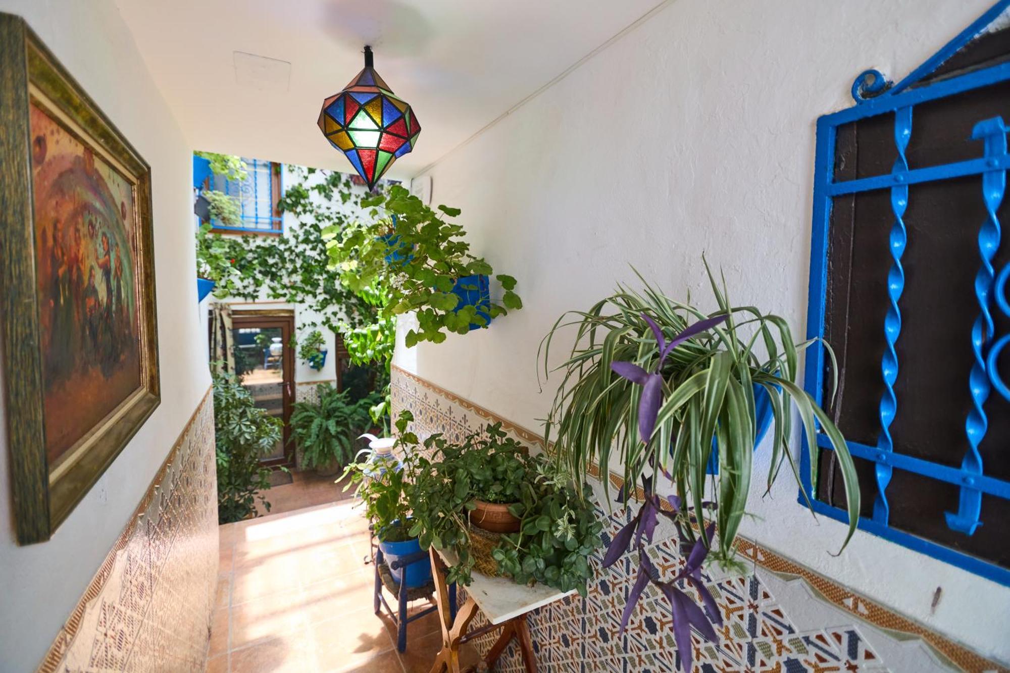 Casa El "Tablao De Las Almendras" Granada Ngoại thất bức ảnh
